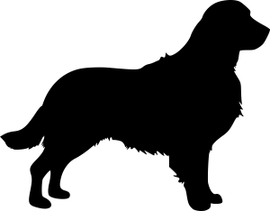 Golden Silhouette Vector