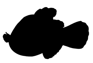Silhouette 3 PNG