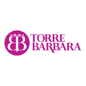 Torre Barbara Logo PNG SVG Vector