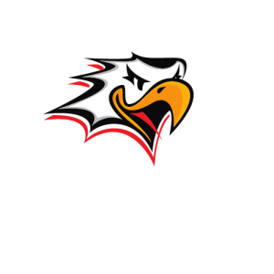 Vaasan Sport Logo PNG SVG Vector 01