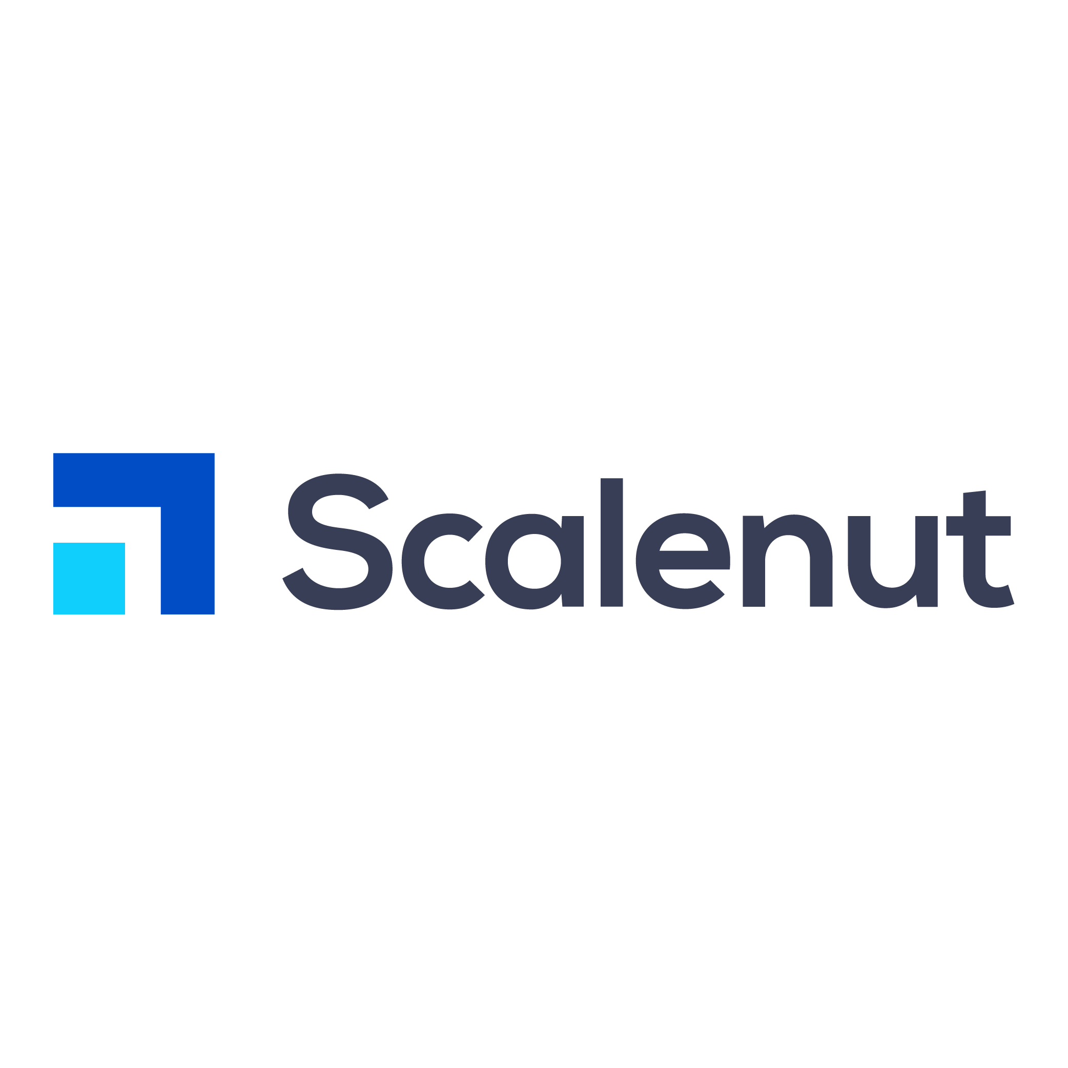 Scalenut Logo PNG SVG Vector Scalenut Logo PNG SVG Vector