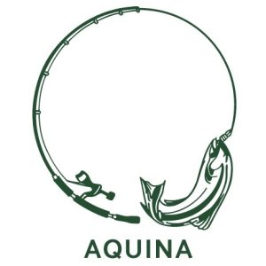 AQUINAFLIES Logo PNG Vector