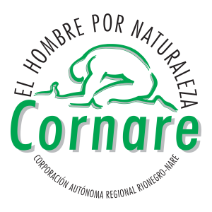 Cornare Logo PNG Vector