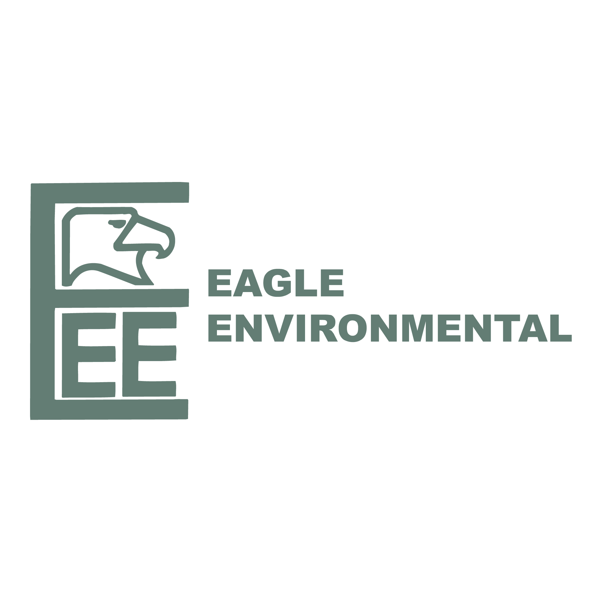 Eagle Environmental Logo PNG Vector Eagle Environmental Logo PNG Vector