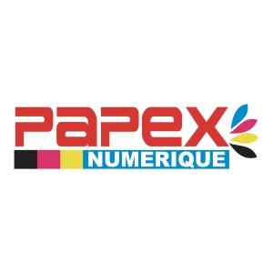 PAPEX NUMERIQUE Logo PNG SVG Vector 01
