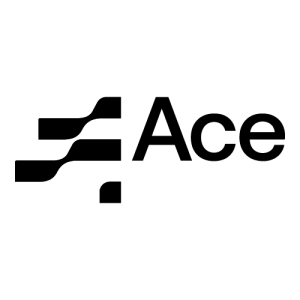 ACE B.V. Logo PNG SVG Vector