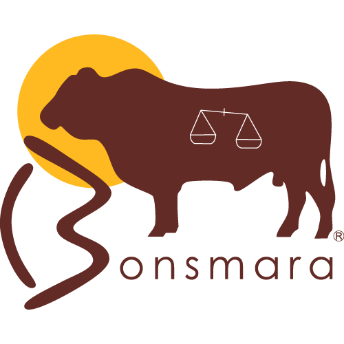 Bonsmara SA Logo PNG SVG Vector Bonsmara SA Logo PNG SVG Vector