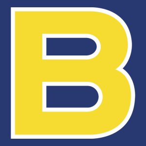 Brasil 2013 Logo PNG SVG Vector