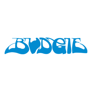 Budgie Logo PNG SVG Vector 01