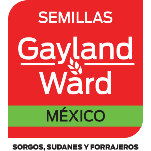 Gayland Ward Mexico Logo PNG SVG Vector