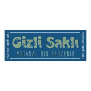 Gizlisaklı Logo PNG SVG Vector 01