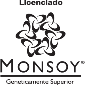 Licenciado Monsoy Logo PNG SVG Vector 01