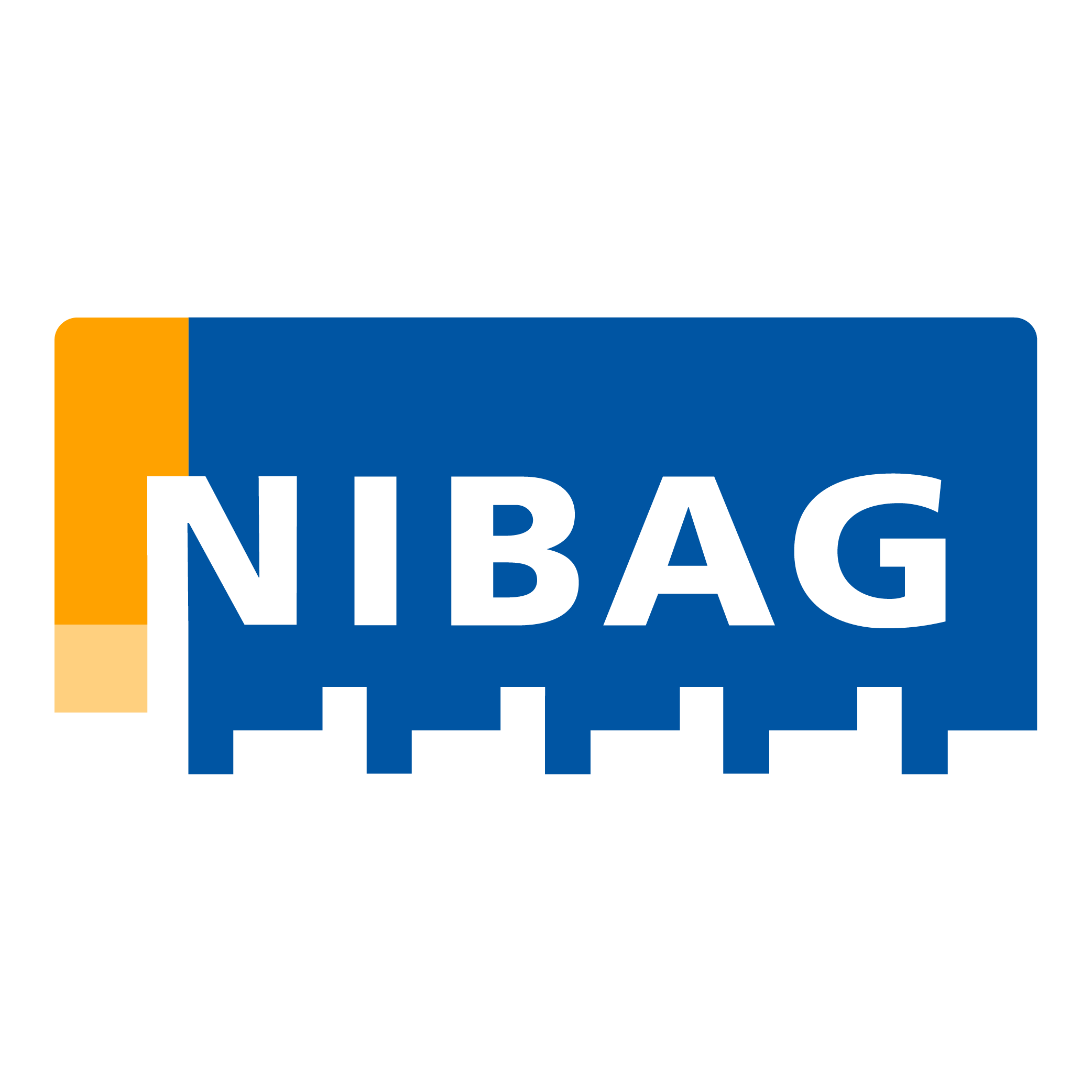 Nibag Logo PNG Vector Nibag Logo PNG Vector