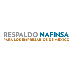 Respaldo Nafinza Logo PNG SVG Vector 01
