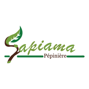 Sapiama Pépinière Logo PNG SVG Vector