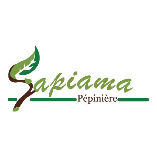 Sapiama Pépinière Logo PNG SVG Vector Sapiama Pépinière Logo PNG SVG Vector