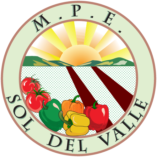 Sol del Valle logo PNG SVG Vector Sol del Valle logo PNG SVG Vector