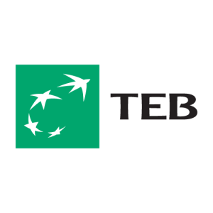 TEB   Turkiye Ekonomi Bankasi Logo PNG SVG Vector 01