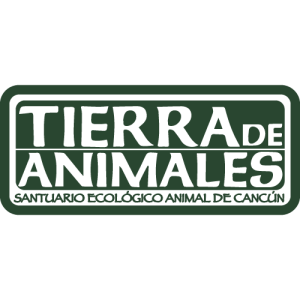 Tierra de Animales Logo PNG SVG Vector 01