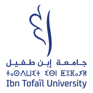 University Ibn Tofaïl   Morocco Logo PNG SVG Vector 01