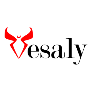 Vesaly Logo PNG SVG Vector