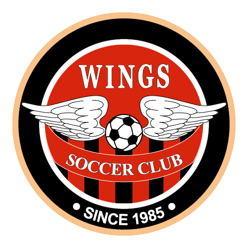 Wings SC Logo PNG SVG Vector Wings SC Logo PNG SVG Vector