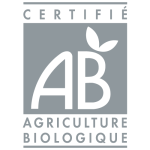 AB logo PNG Vector