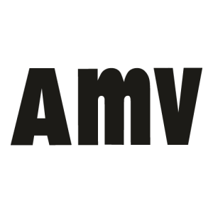 AMV Seguros Logo PNG SVG Vector