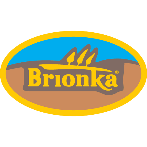 BRIONKA logo PNG SVG Vector BRIONKA logo PNG SVG Vector