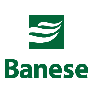 Banese Logo PNG SVG Vector