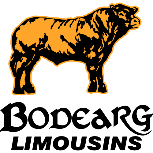 Bodearg Limousins logo PNG Vector Bodearg Limousins logo PNG Vector