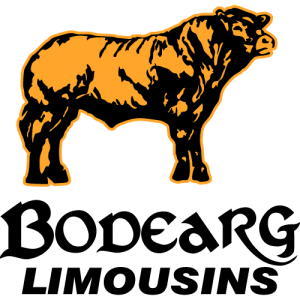 Bodearg Limousins logo PNG SVG Vector 01