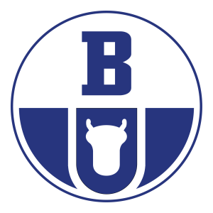 Boryszew Group Logo PNG SVG Vector