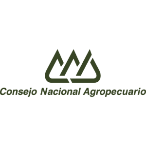 CNA Logo PNG SVG Vector