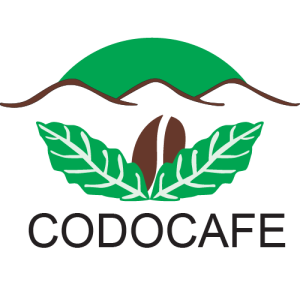 CODOCAFE Logo PNG SVG Vector