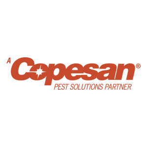 Copesan logo PNG SVG Vector