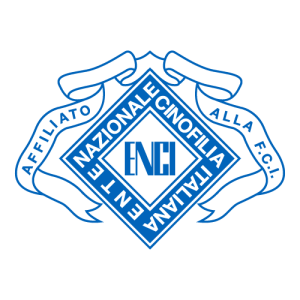 ENCI Logo PNG SVG Vector