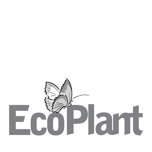 EcoPlant logo PNG SVG Vector EcoPlant logo PNG SVG Vector