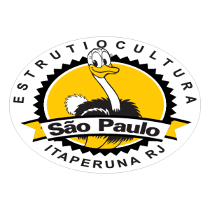 Estrutiocultura Sao Paulo logo PNG SVG Vector