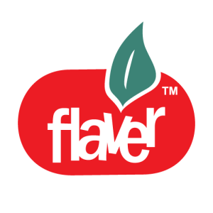Flaver logo PNG SVG Vector