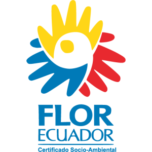 Flor Ecuador Logo PNG SVG Vector
