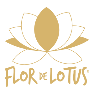 Flor de Lotus Logo PNG SVG Vector