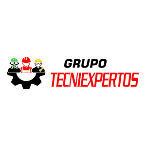 Grupo Tecniexpertos Logo PNG SVG Vector