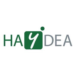 HAYDEA   Transforming Business Processes Logo PNG SVG Vector 01