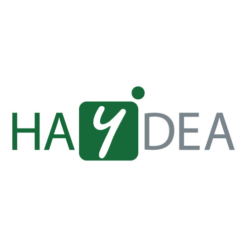HAYDEA Transforming Business Processes Logo PNG SVG Vector HAYDEA Transforming Business Processes Logo PNG SVG Vector