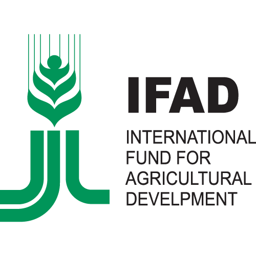 IFAD logo PNG SVG Vector IFAD logo PNG SVG Vector