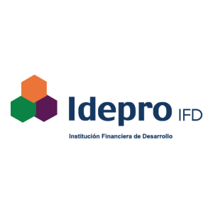 Idepro Logo PNG SVG Vector