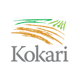 Kokari logo PNG SVG Vector
