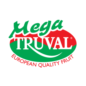 MegaTruval logo PNG SVG Vector