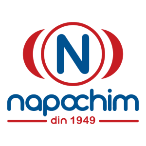 Napochim Logo PNG SVG Vector